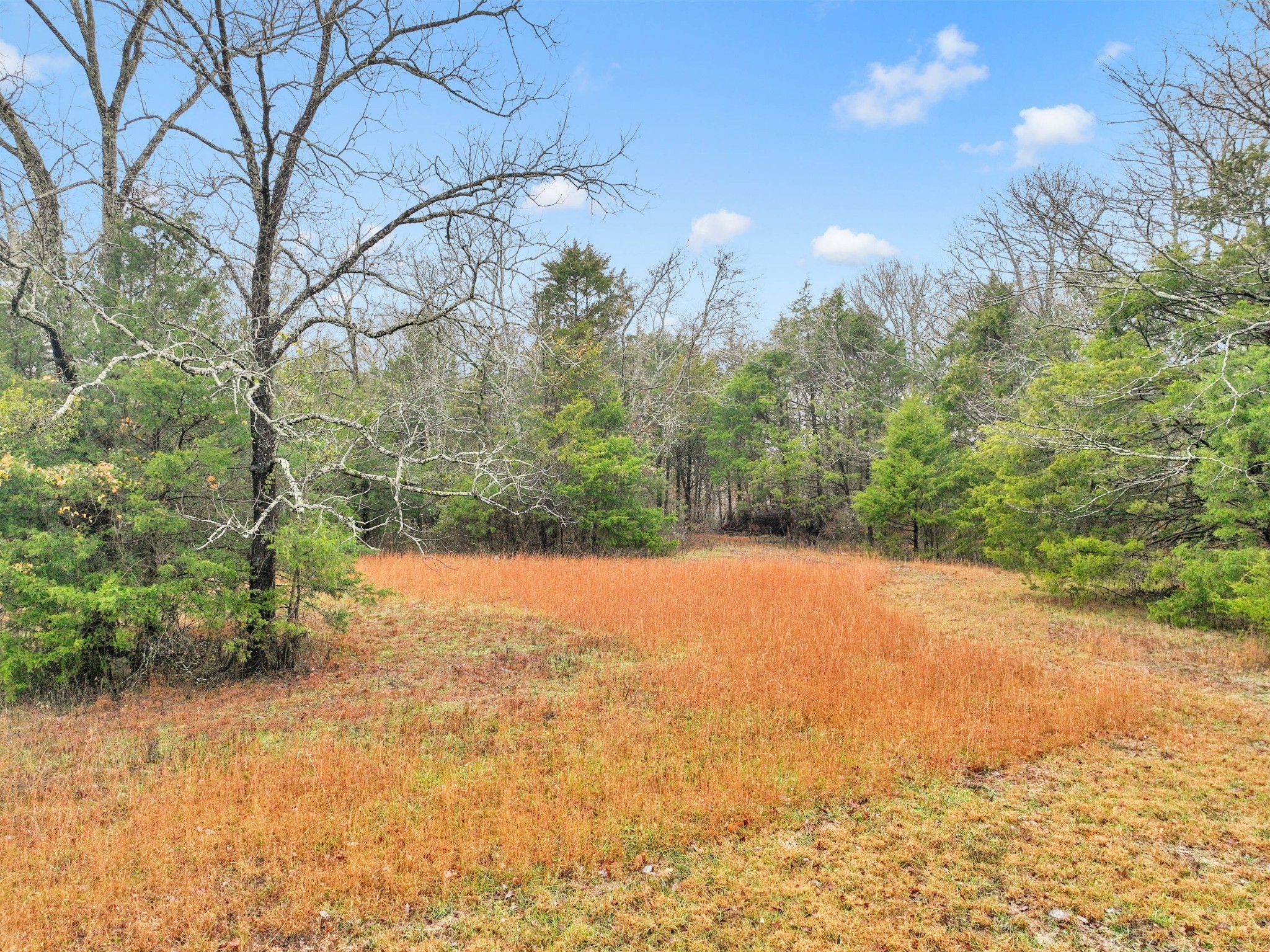 0 Phillips Road Lebanon, TN 37087 - Photo 7 of 13 a view of empty space with mountain view
