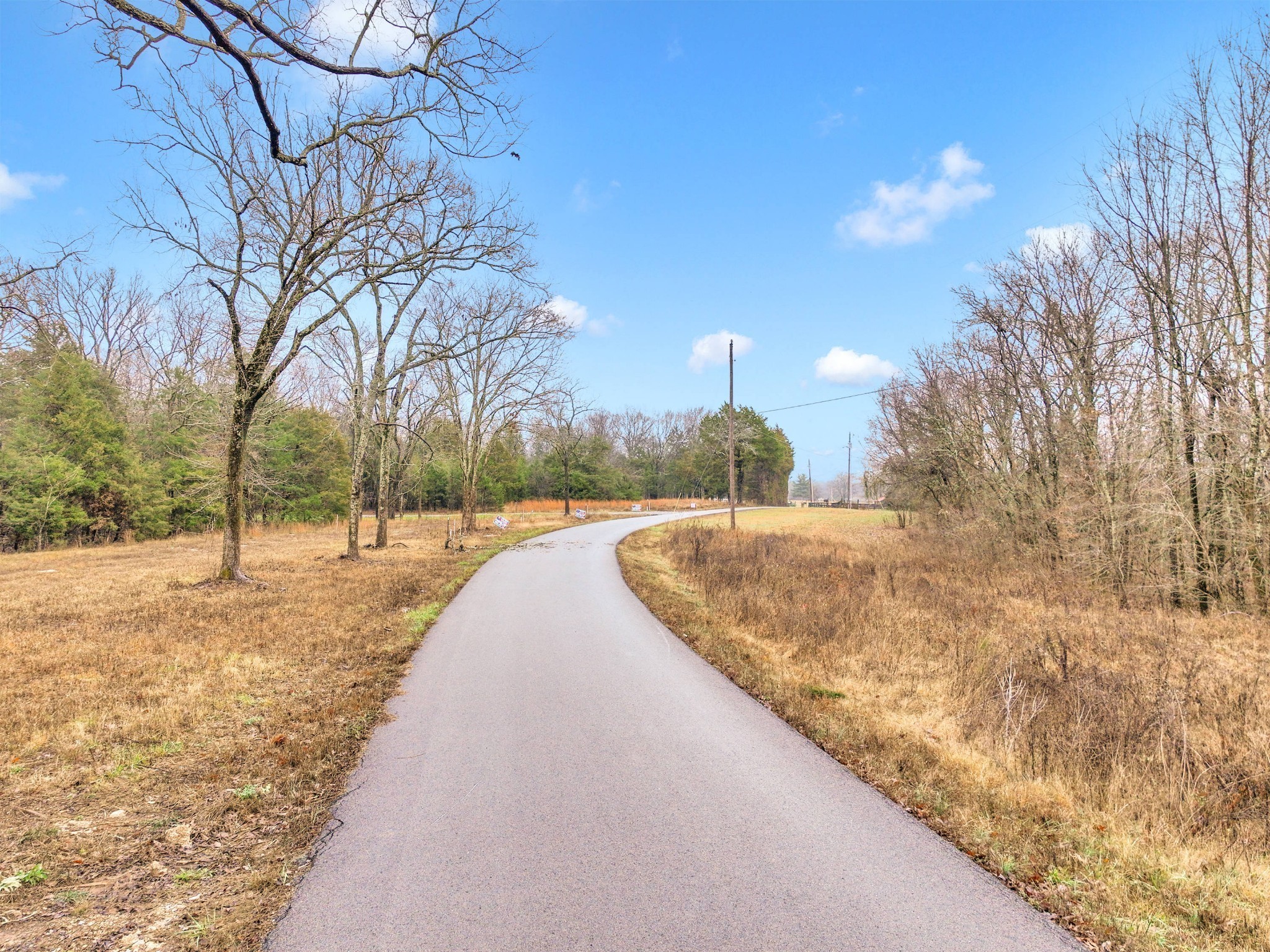 0 Phillips Road Lebanon, TN 37087 - Photo 8 of 13 a view of a yard with snow on the road