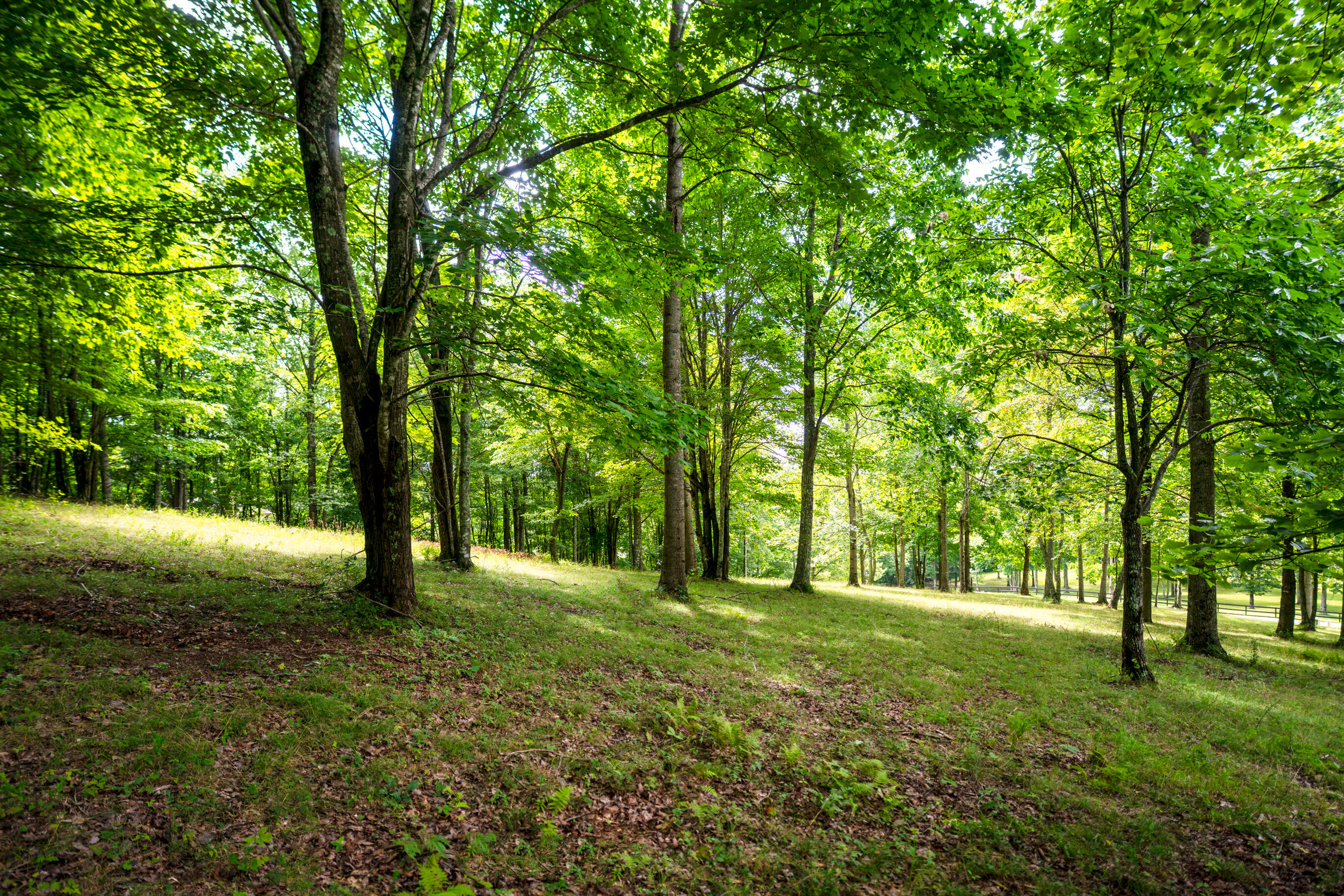 243 Roaring Creek Road Dunlap, TN 37327 - Photo 15 of 27 _DSC2449-Edit