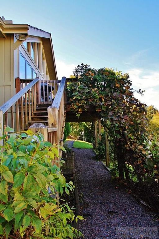 580 Green Knob Mountain Road Boone, NC 28607 - Photo 4 of 41