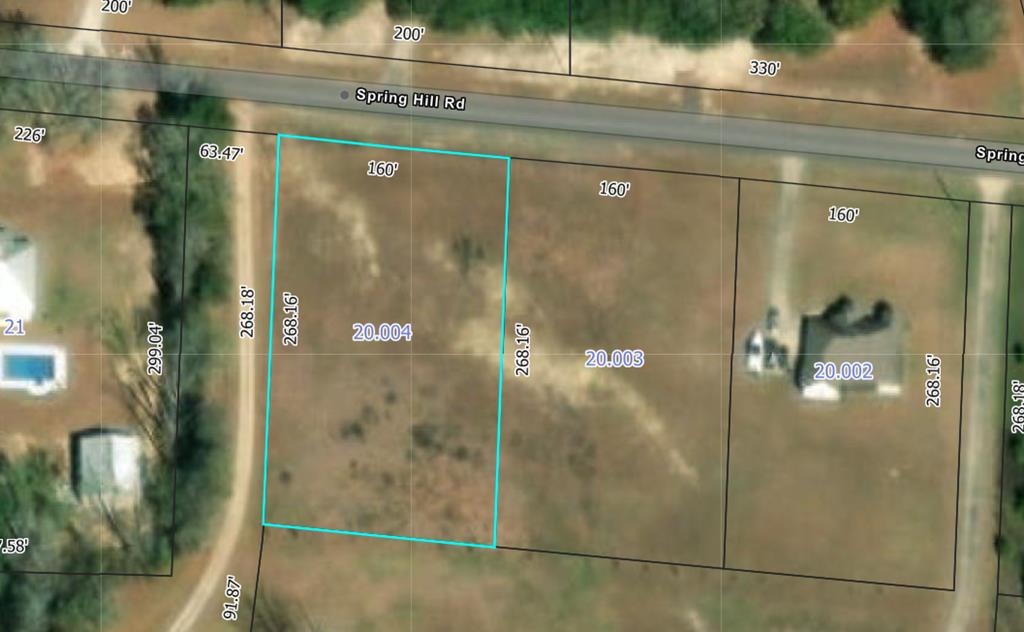 0 Spring Hill Road Dothan, AL 36301 - Photo 2 of 2