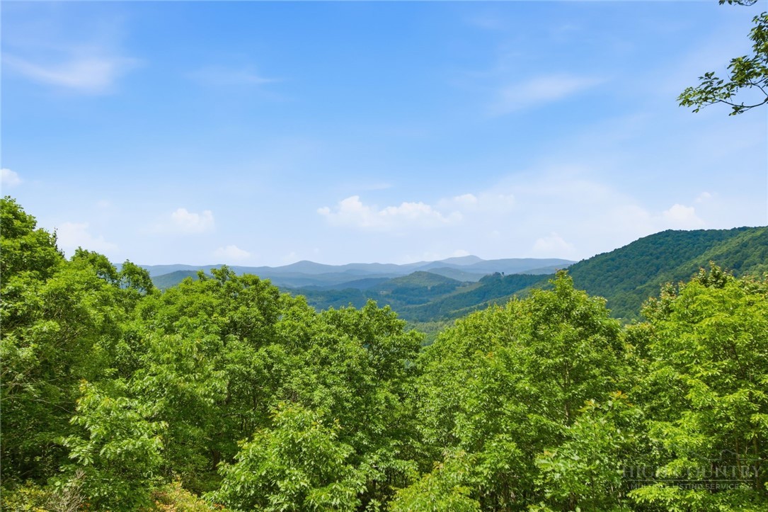319 Sundance Road Todd, NC 28684 - Photo 8 of 50