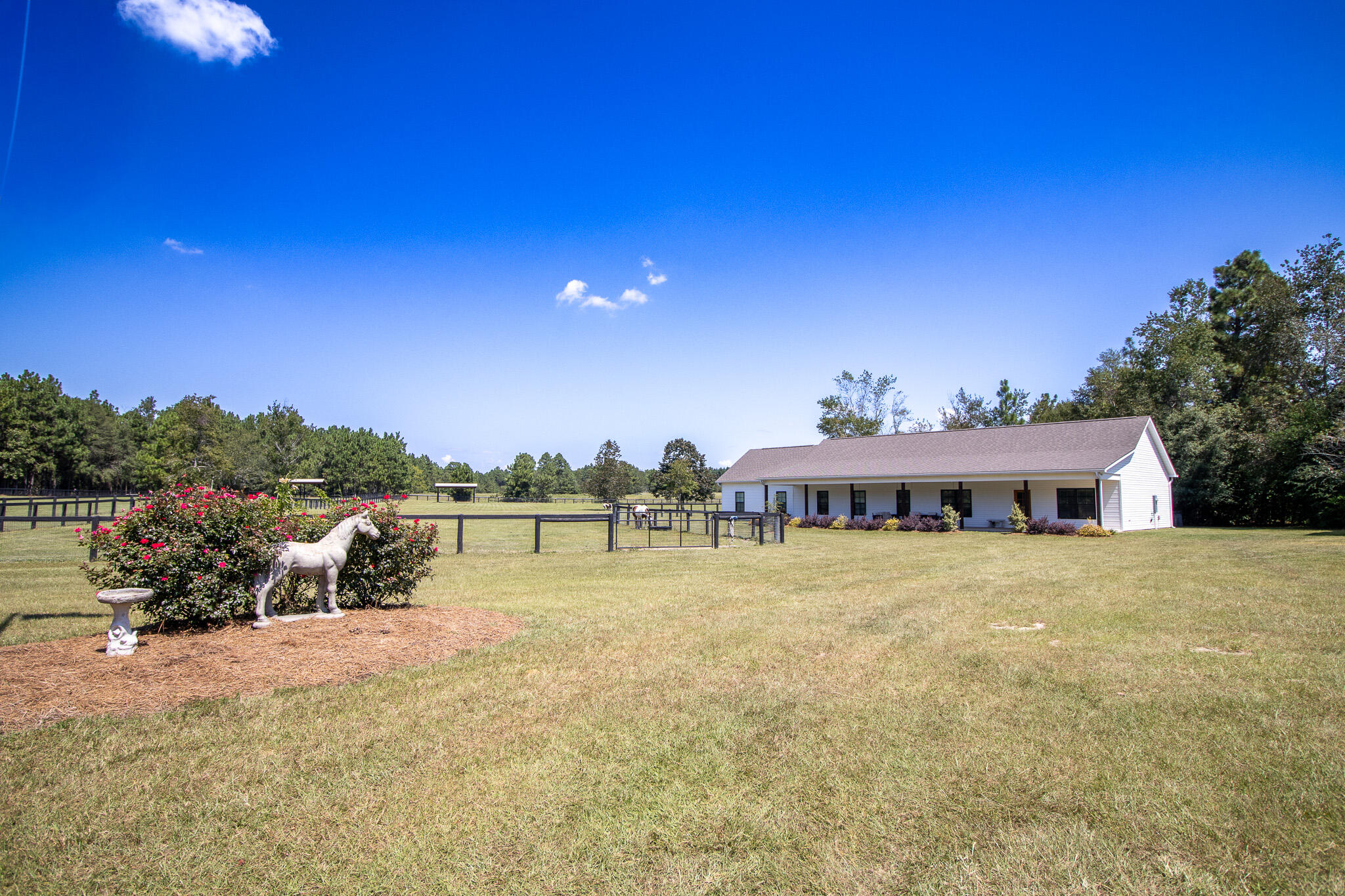 571 Oak Ridge Club Road Windsor, SC 29856 - Photo 79 of 107