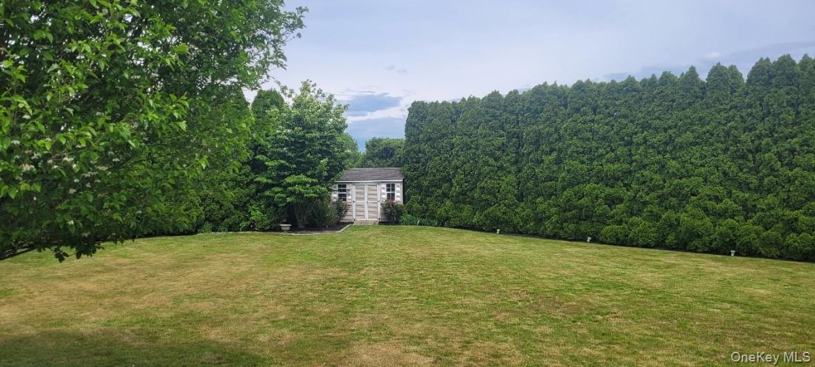 312 Riley Avenue Calverton, NY 11933 - Photo 27 of 30 Expansive backyard featuring a manicured lawn, established privacy hedging, and a white storage shed with double doors