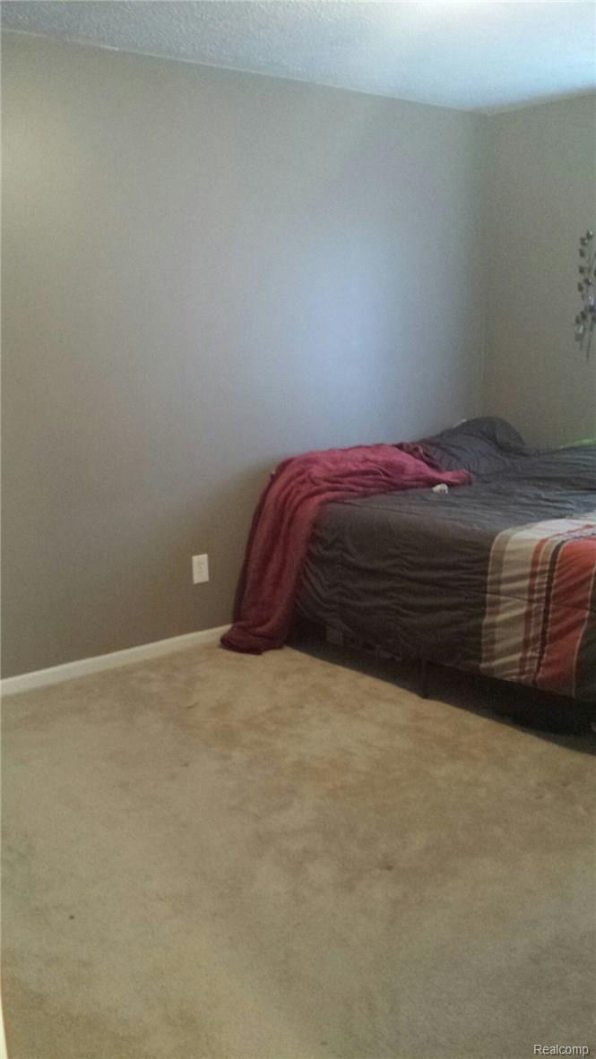 387 Dieterle Road Fowlerville, MI 48836 - Photo 14 of 25 20160105_165627.jpeg