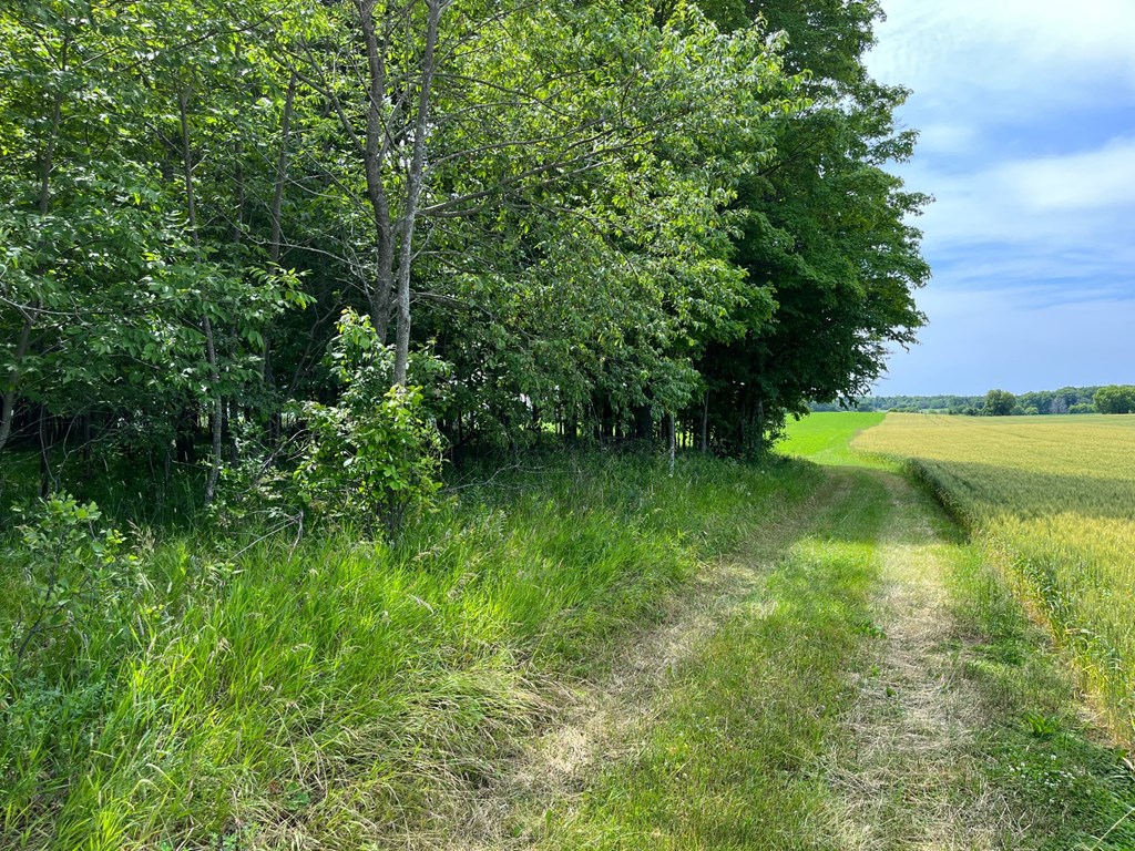 Haberli Road Sturgeon Bay, WI 54235 - Photo 2 of 7