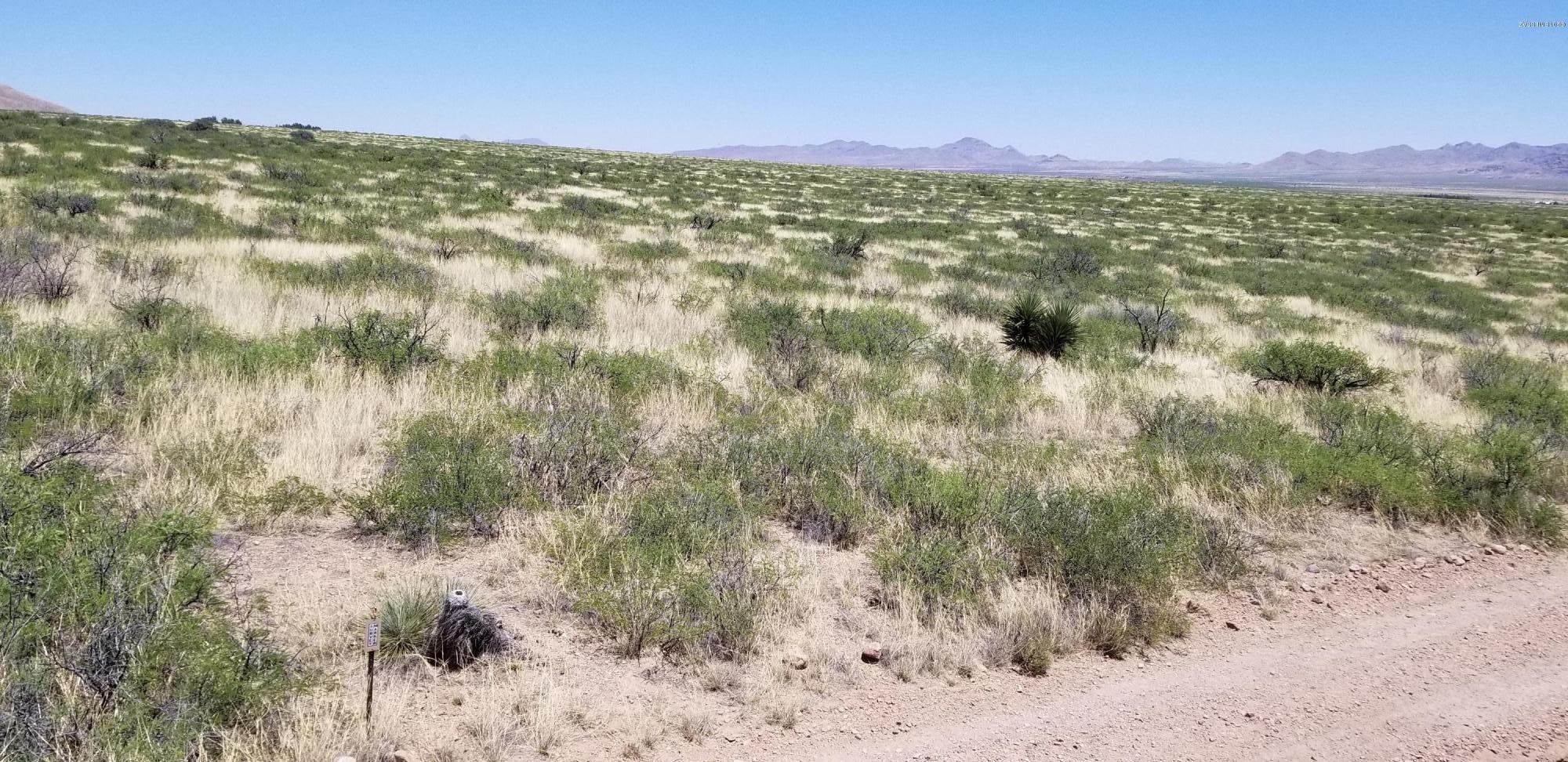 Tbd North Eagle Ridge Trail, Unit 14 San Simon, AZ 85632 - Photo 24 of 48