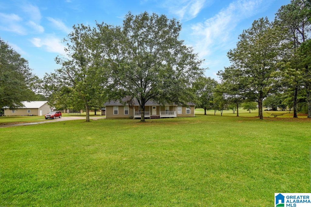 181 Dyer Road Harpersville, AL 35078 - Photo 4 of 37