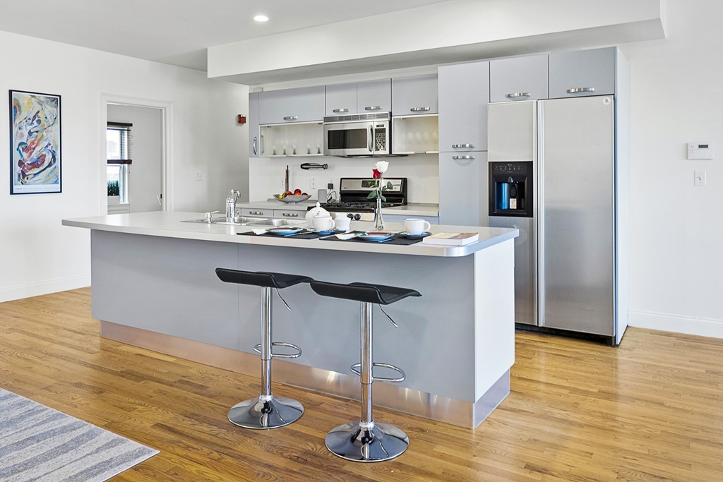 877 Harrison Avenue, Unit 7 Boston, MA 02118 - Photo 15 of 25 a kitchen with stainless steel appliances granite countertop a sink a stove a refrigerator and cabinets