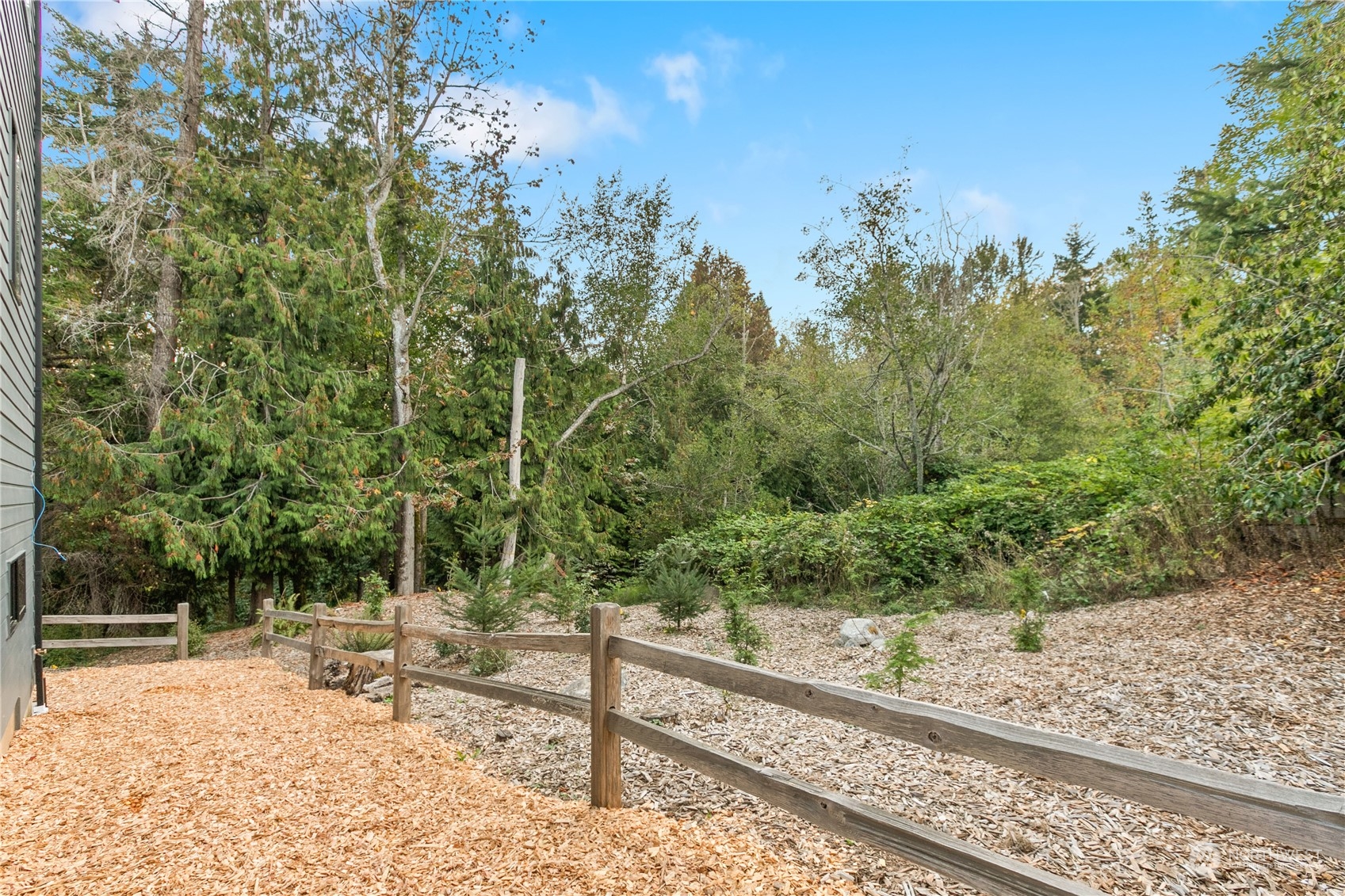 3015 Maynard Place Bellingham, WA 98226 - Photo 31 of 38 a view of a yard with plants and trees