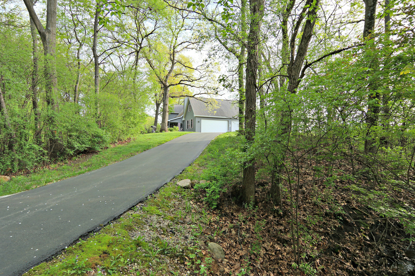 a view of a yard with plants and trees