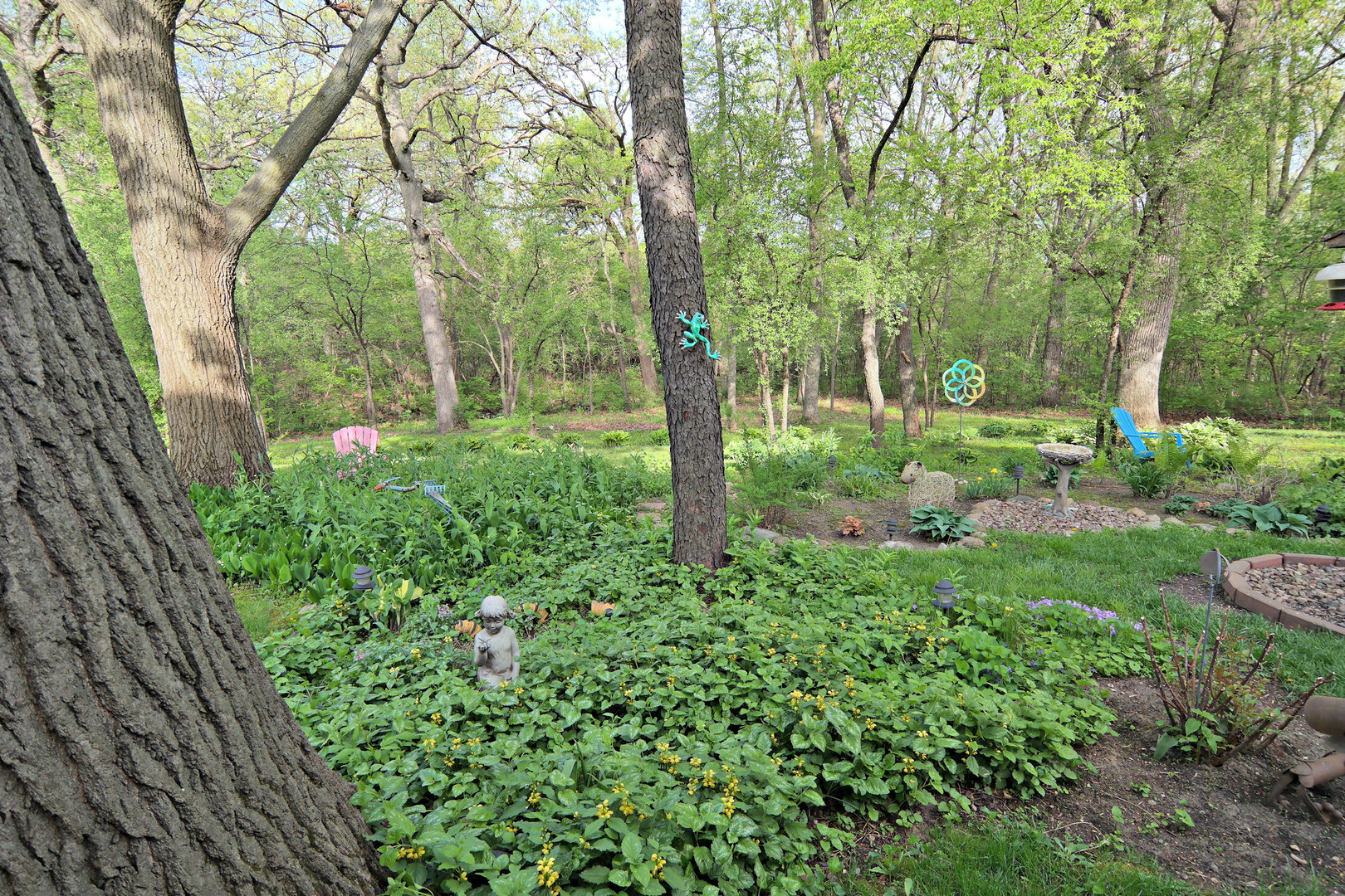 4115 Wilson Road Woodstock, IL 60098 - Photo 4 of 44 a backyard of a house with lots of green space and trees