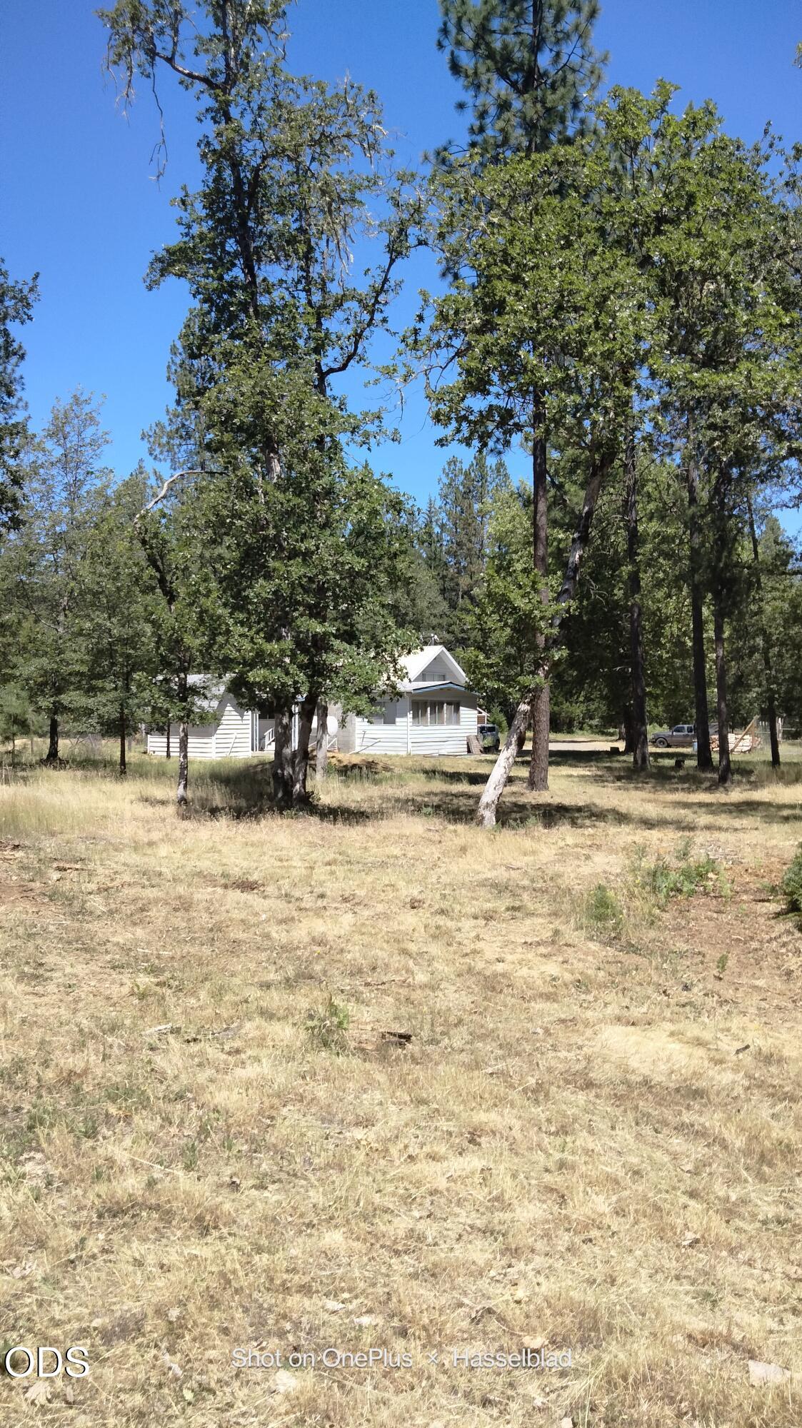 575 Kirkham Road Cave Junction, OR 97523 - Photo 14 of 50
