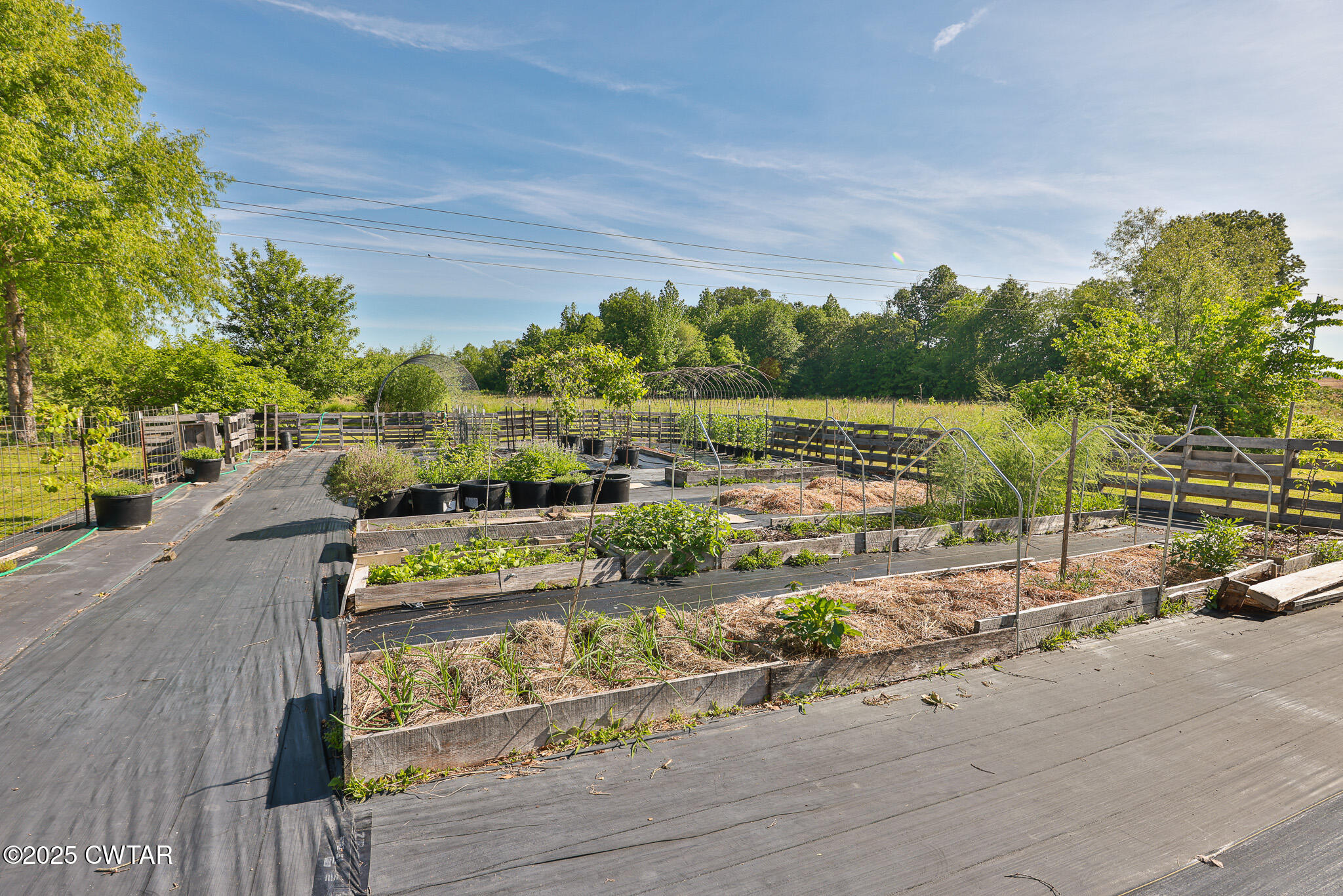 1461 Bynum Road Dresden, TN 38225 - Photo 15 of 60 FT8A4544