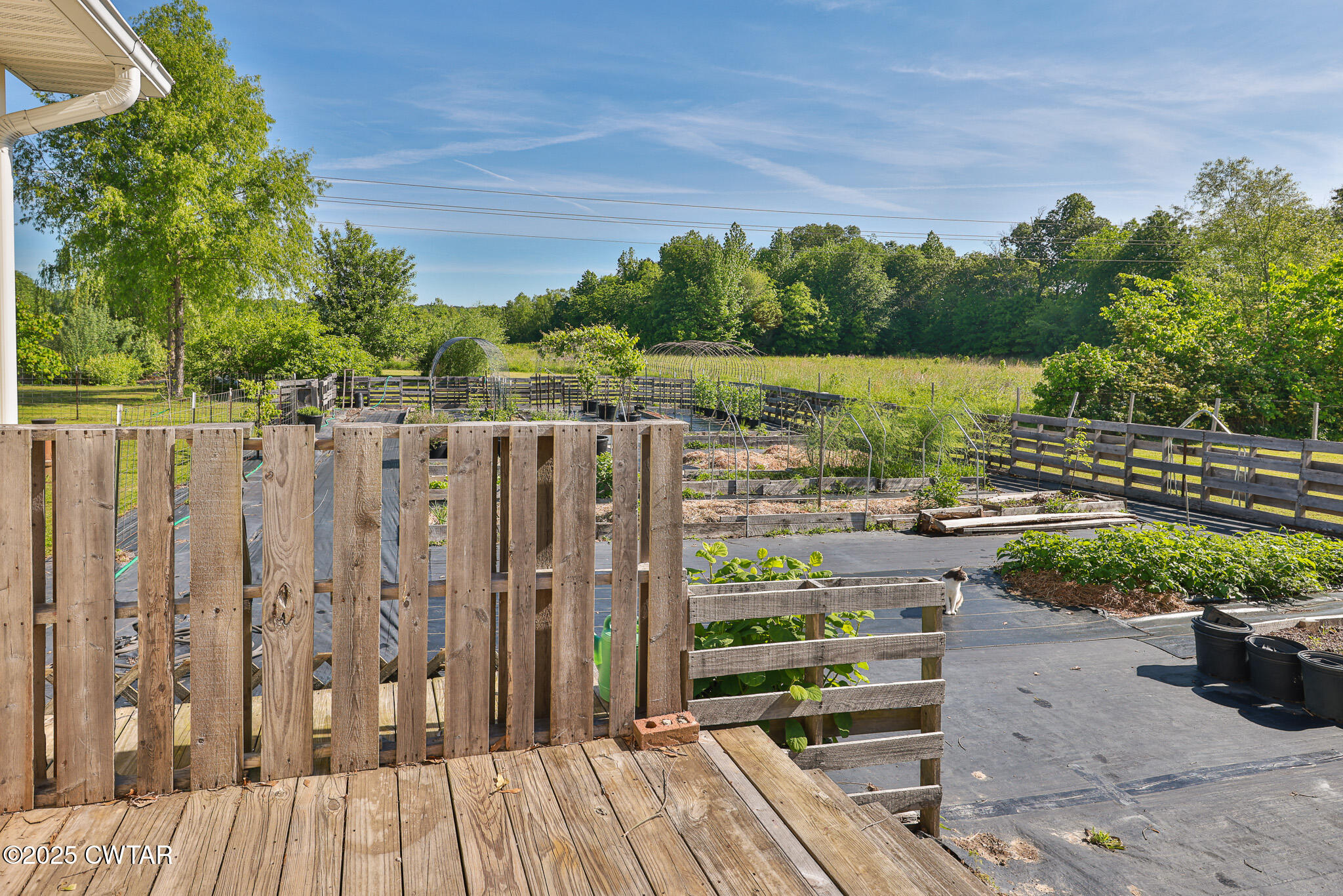 1461 Bynum Road Dresden, TN 38225 - Photo 16 of 60 a view of a balcony with wooden floor and outdoor space