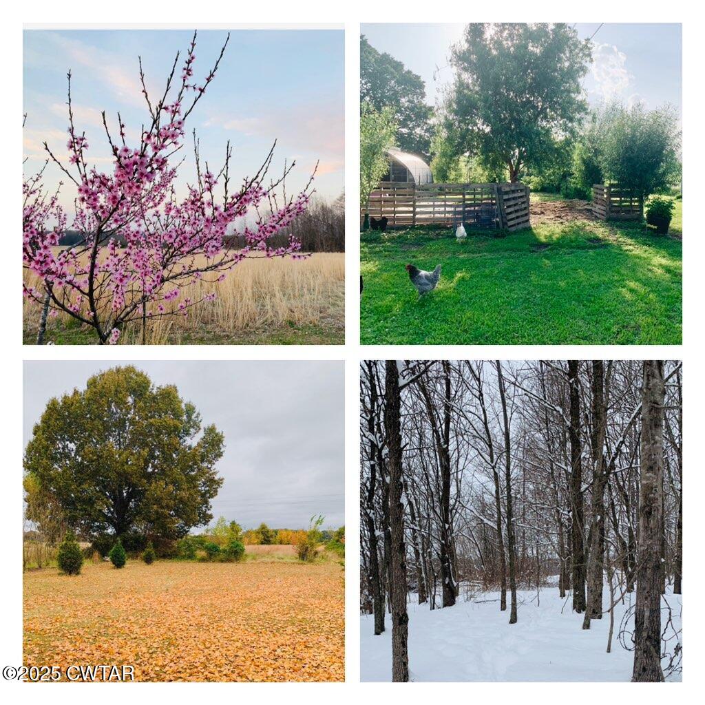 1461 Bynum Road Dresden, TN 38225 - Photo 59 of 60 a view of a outdoor space