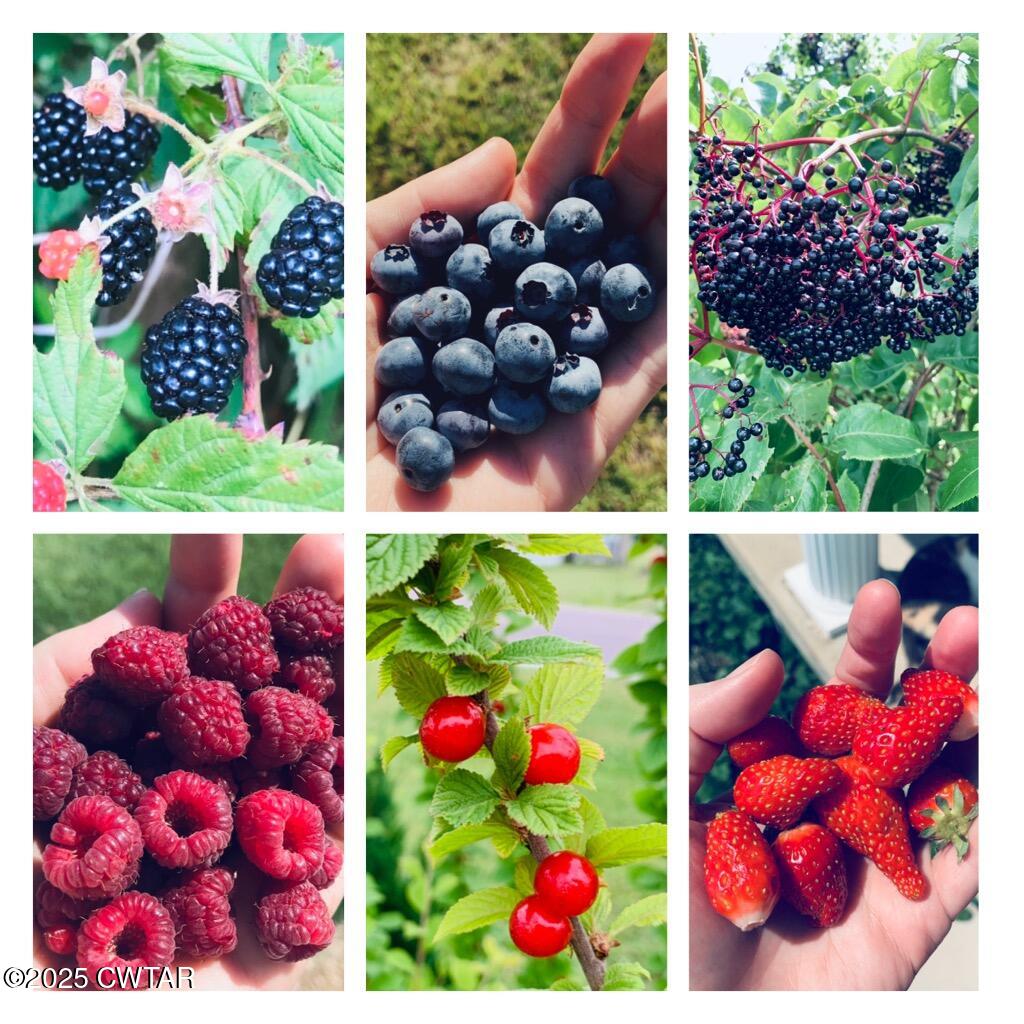 1461 Bynum Road Dresden, TN 38225 - Photo 60 of 60 IMG_9829