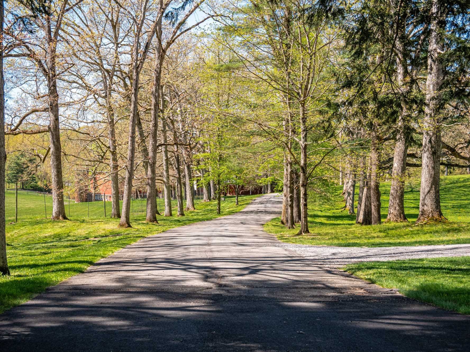 124 Eden Knoll Red Hook, NY 12571 - Photo 3 of 40 a view of a park with large trees