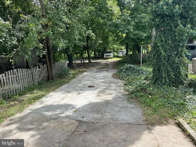 a view of backyard with tree