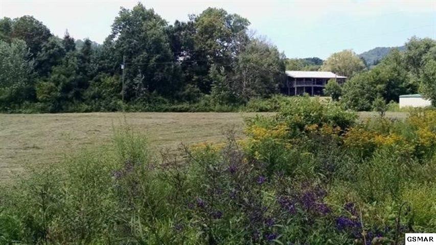 12 Line Springs Road Sevierville, TN 37862 - Photo 5 of 12