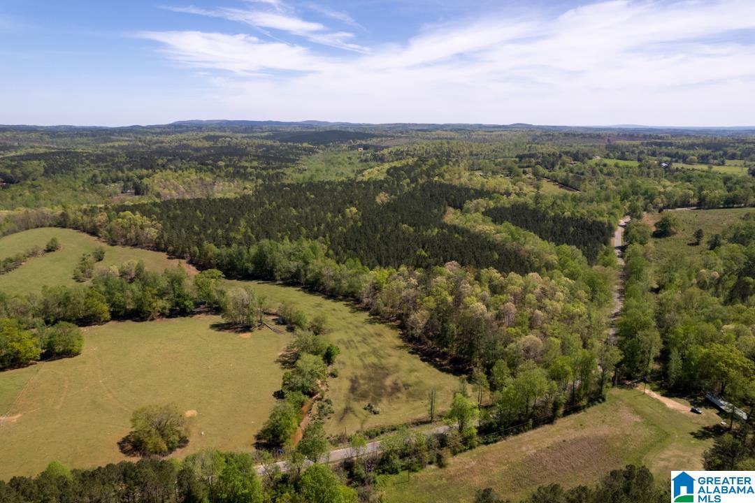 0 Highway 431, Unit 1 Wedowee, AL 36278 - Photo 9 of 10