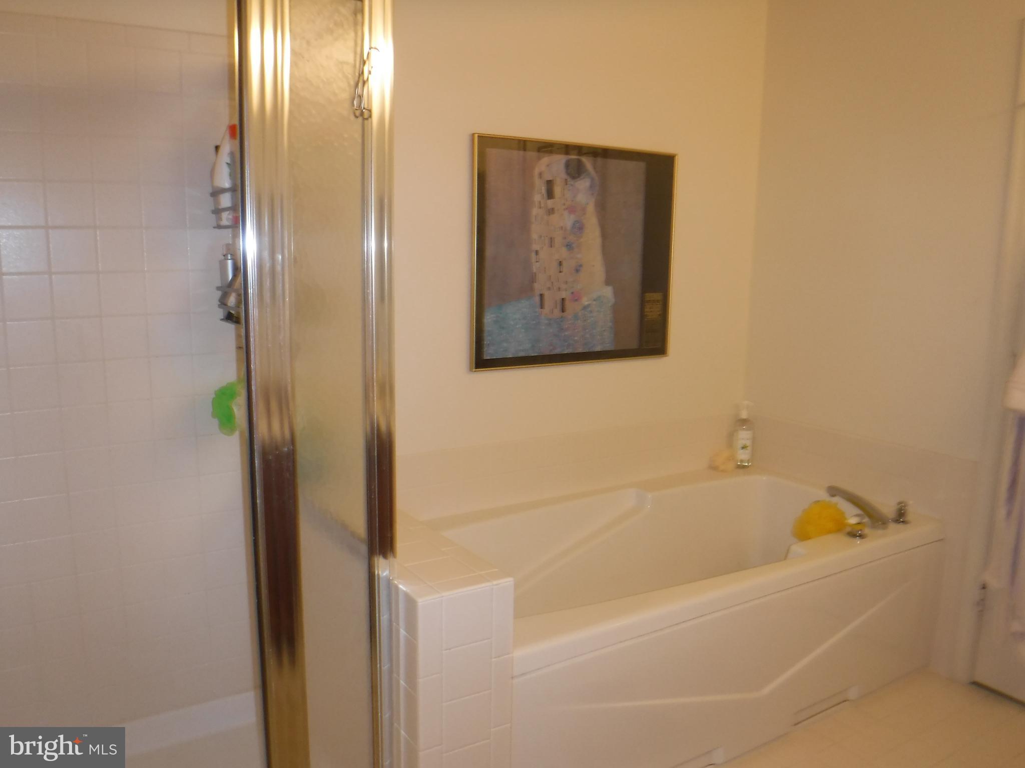 2444 Rippling Brook Road Frederick, MD 21701 - Photo 24 of 49 a bathroom with a bathtub and shower