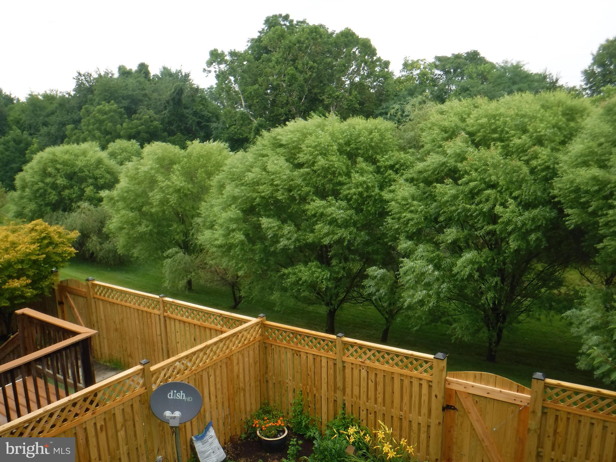 2444 Rippling Brook Road Frederick, MD 21701 - Photo 5 of 49 a view of a roof deck with wooden floor and fence