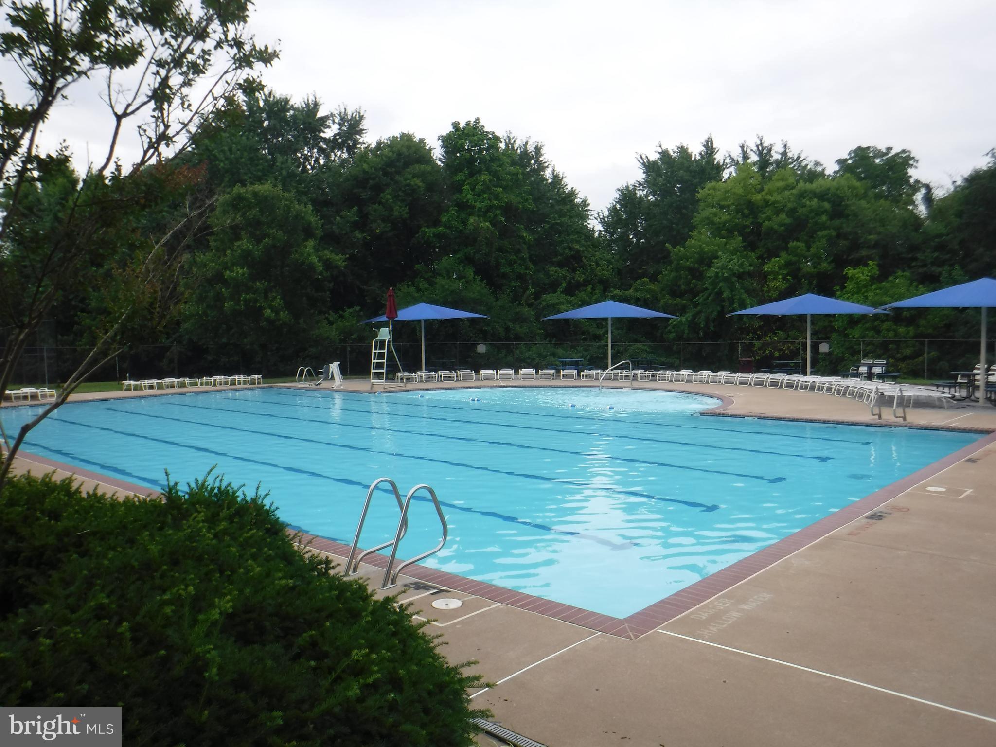 2444 Rippling Brook Road Frederick, MD 21701 - Photo 41 of 49 a view of swimming pool with a patio