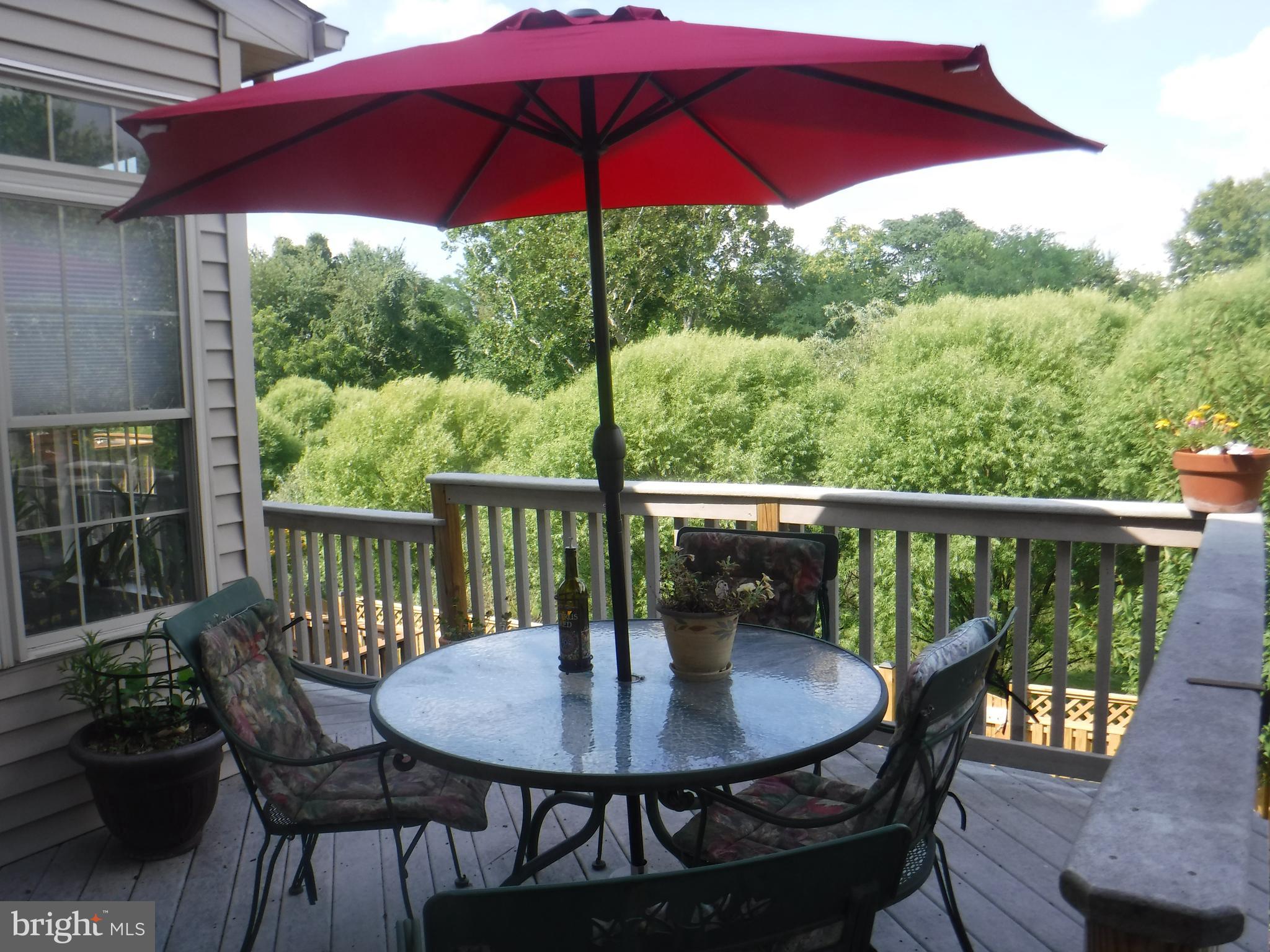 2444 Rippling Brook Road Frederick, MD 21701 - Photo 6 of 49 a view of balcony with furniture and wooden deck