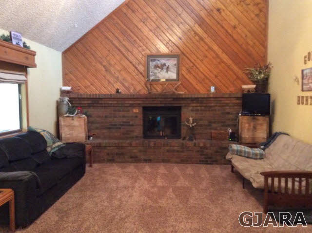 619 Pioneer Road Grand Junction, CO 81504 - Photo 4 of 23 Gallery Image 4
