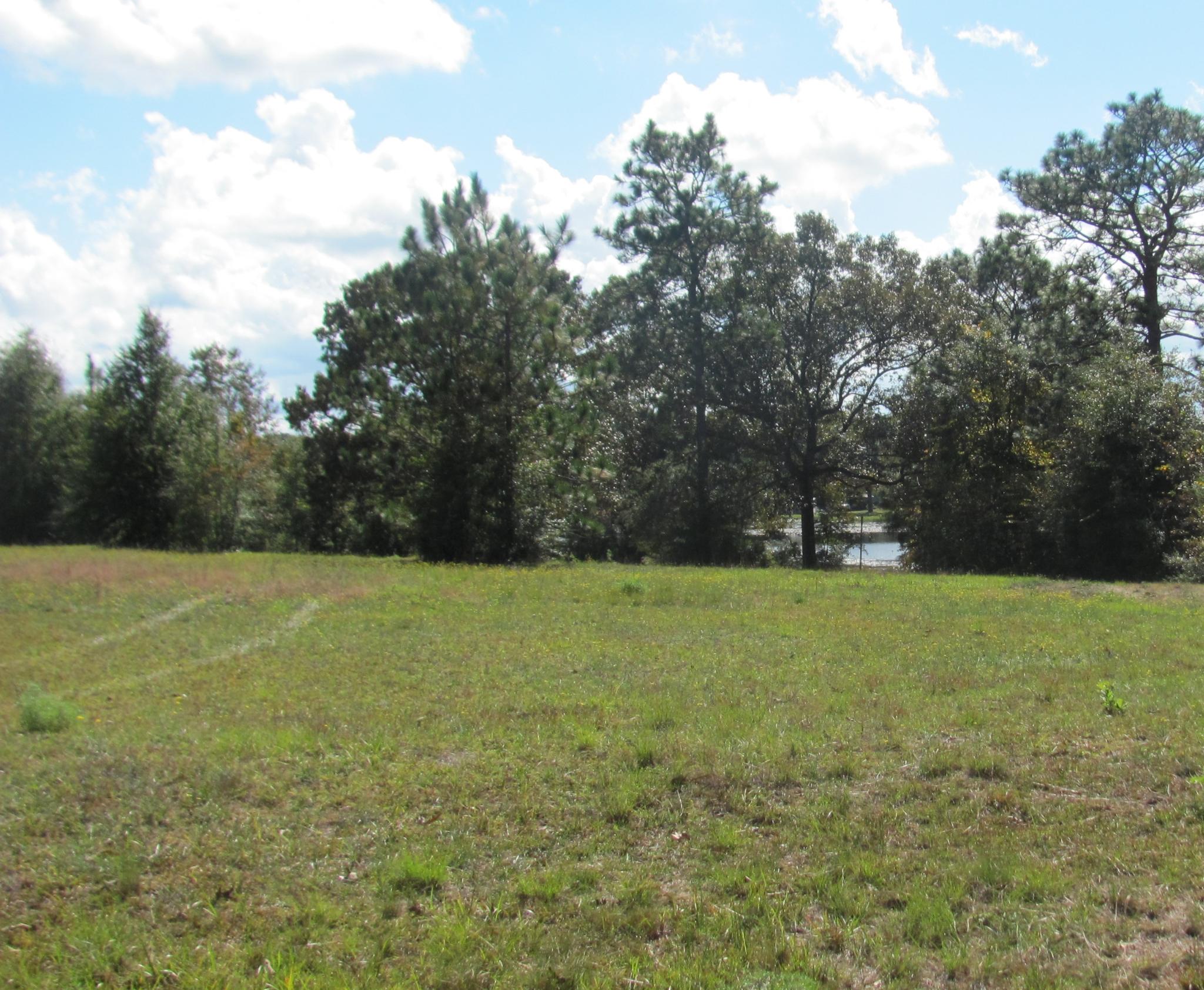 2.9-acres Paul Road DeFuniak Springs, FL 32433 - Photo 4 of 4 Gallery Image 4