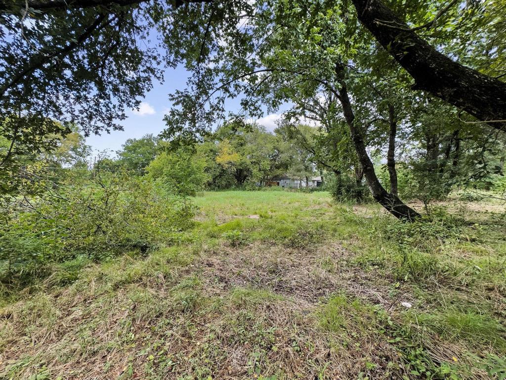 4TH Smith Street Bonham, TX 75418 - Photo 7 of 17 a big yard with lots of green space and deers