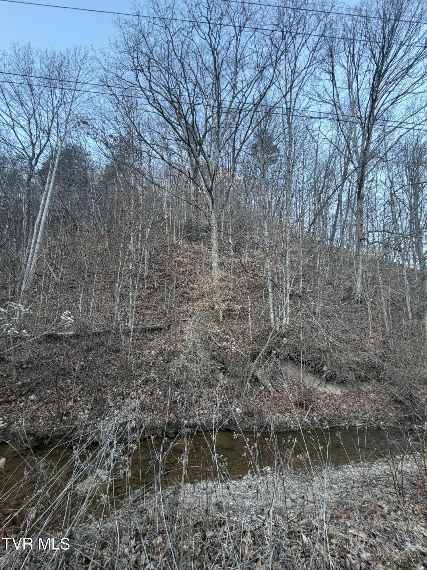 25e Highway 25 East Bean Station, TN 37708 - Photo 2 of 10 20260120_133125925_iOS