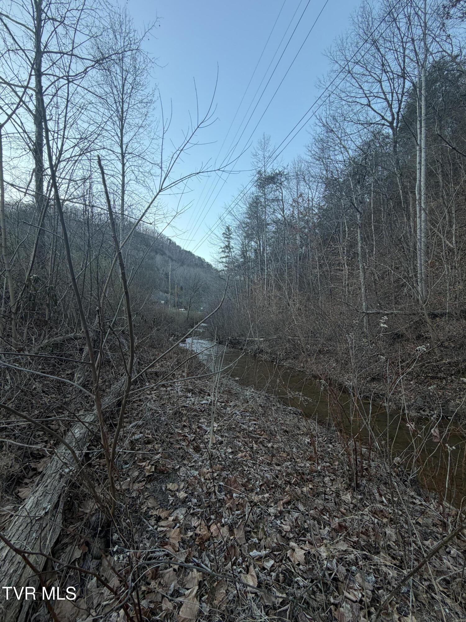 25e Highway 25 East Bean Station, TN 37708 - Photo 3 of 10 20260120_133122652_iOS