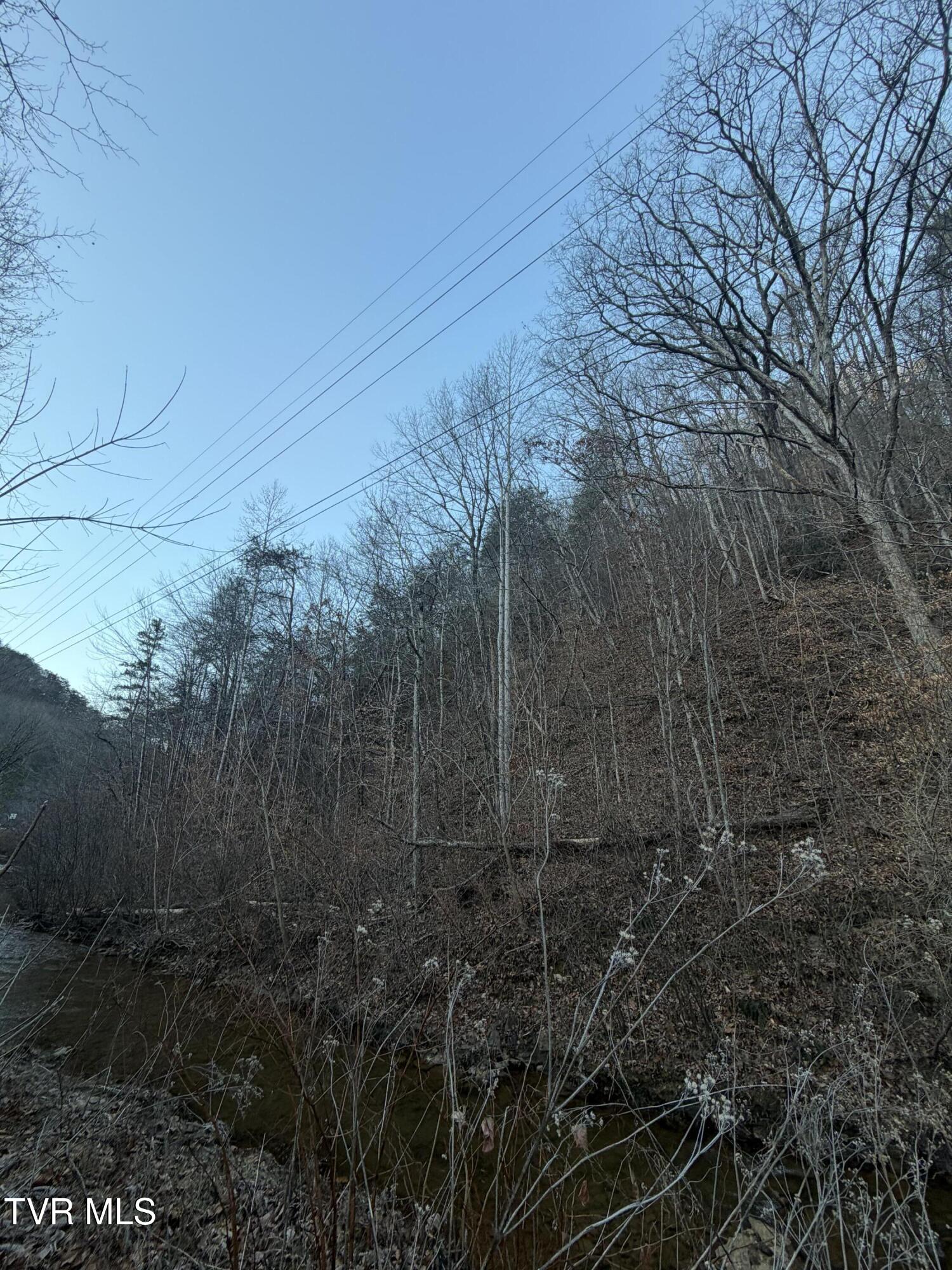 25e Highway 25 East Bean Station, TN 37708 - Photo 4 of 10 20260120_133119790_iOS