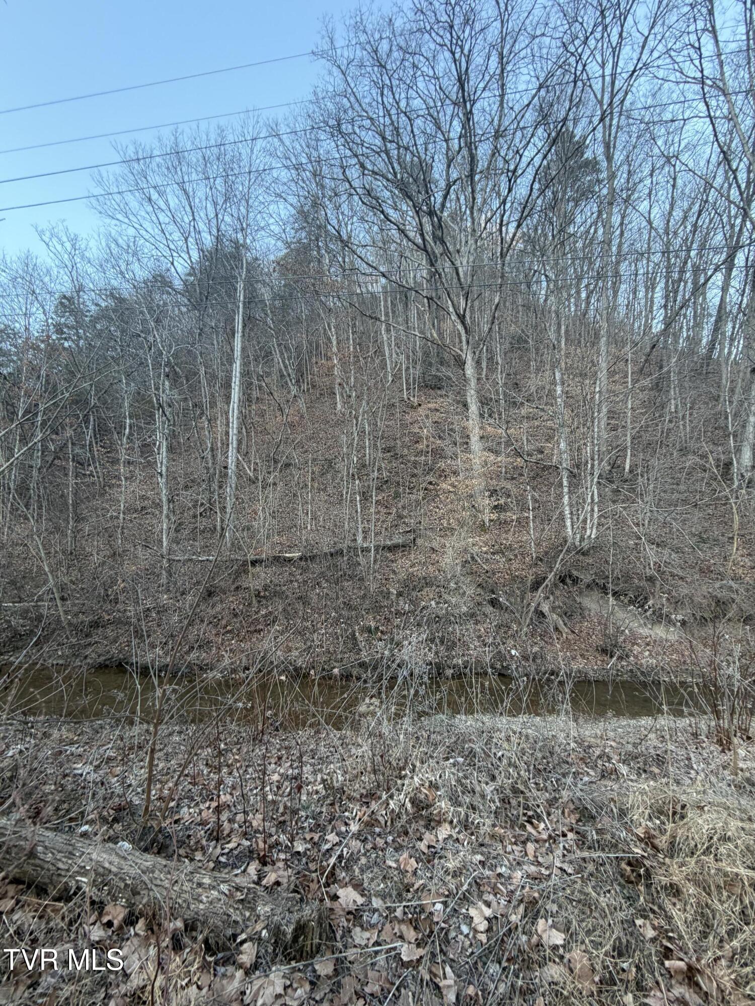 25e Highway 25 East Bean Station, TN 37708 - Photo 6 of 10 20260120_133109747_iOS