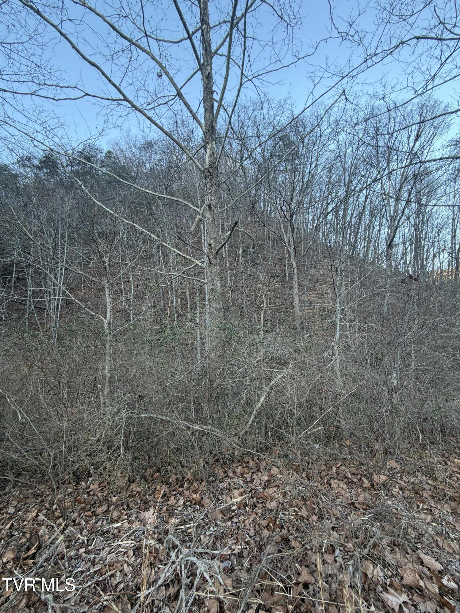 25e Highway 25 East Bean Station, TN 37708 - Photo 7 of 10 20260120_133006041_iOS