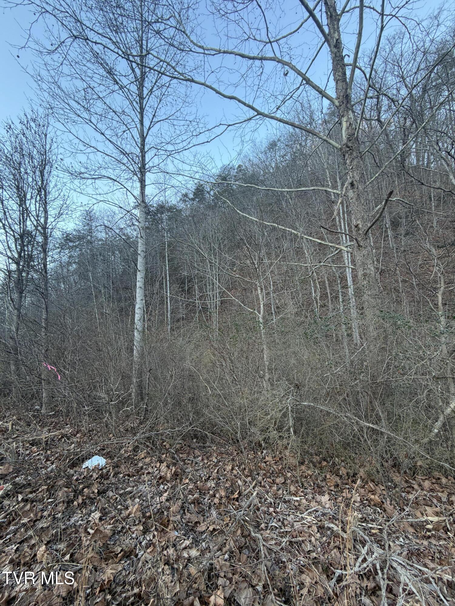 25e Highway 25 East Bean Station, TN 37708 - Photo 8 of 10 20260120_133003858_iOS