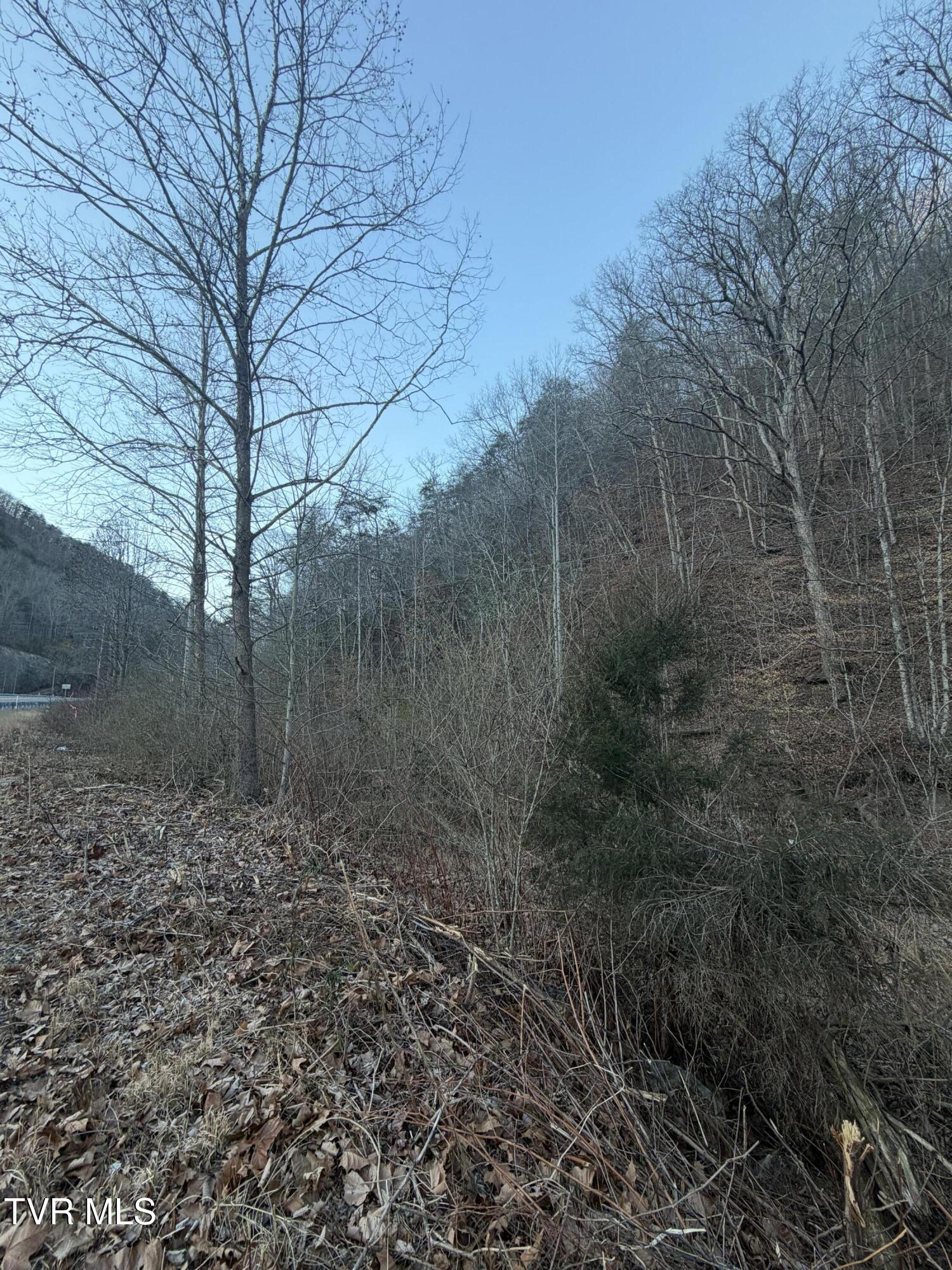 25e Highway 25 East Bean Station, TN 37708 - Photo 9 of 10 20260120_132934822_iOS