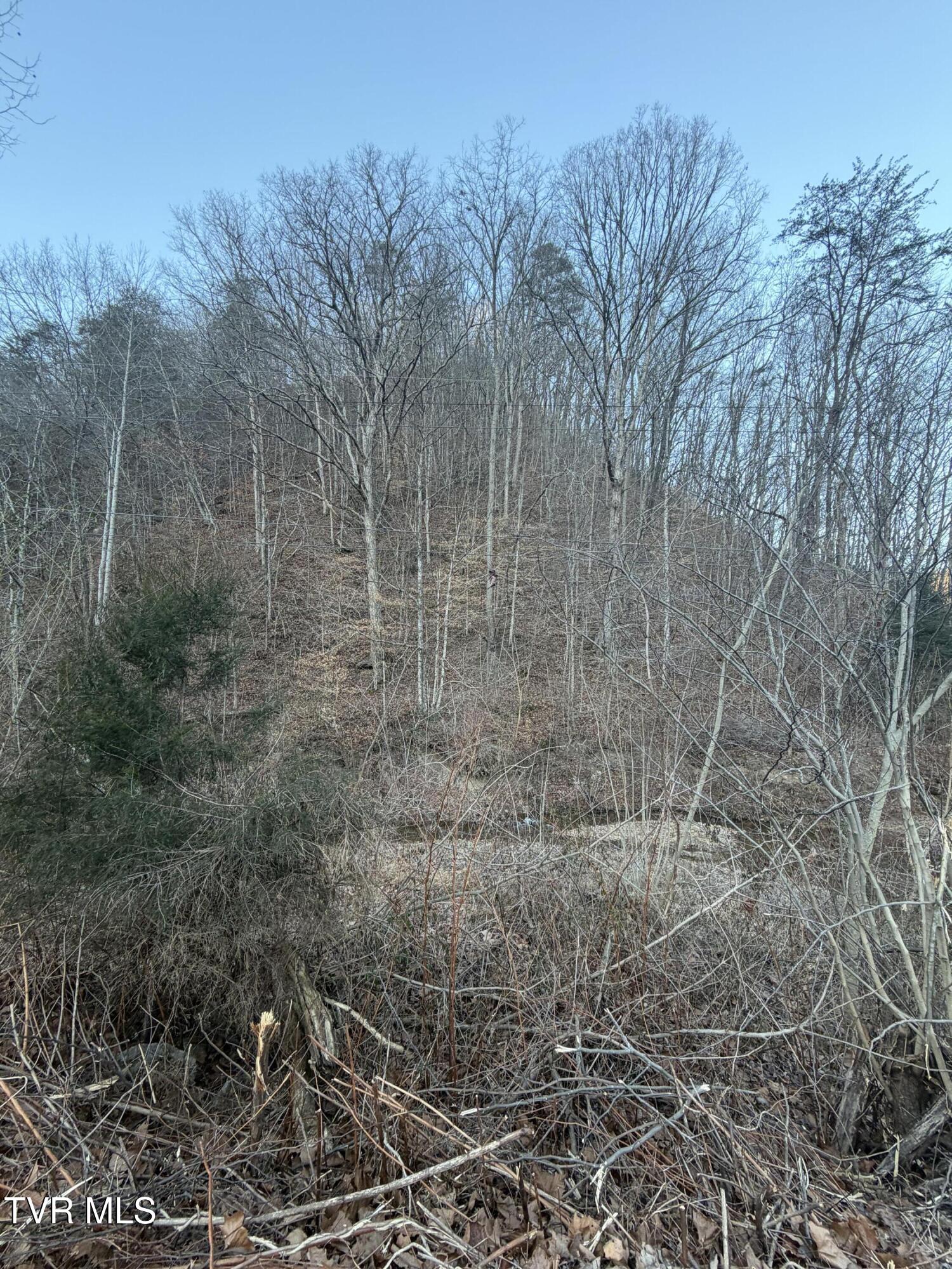 25e Highway 25 East Bean Station, TN 37708 - Photo 10 of 10 20260120_132931871_iOS