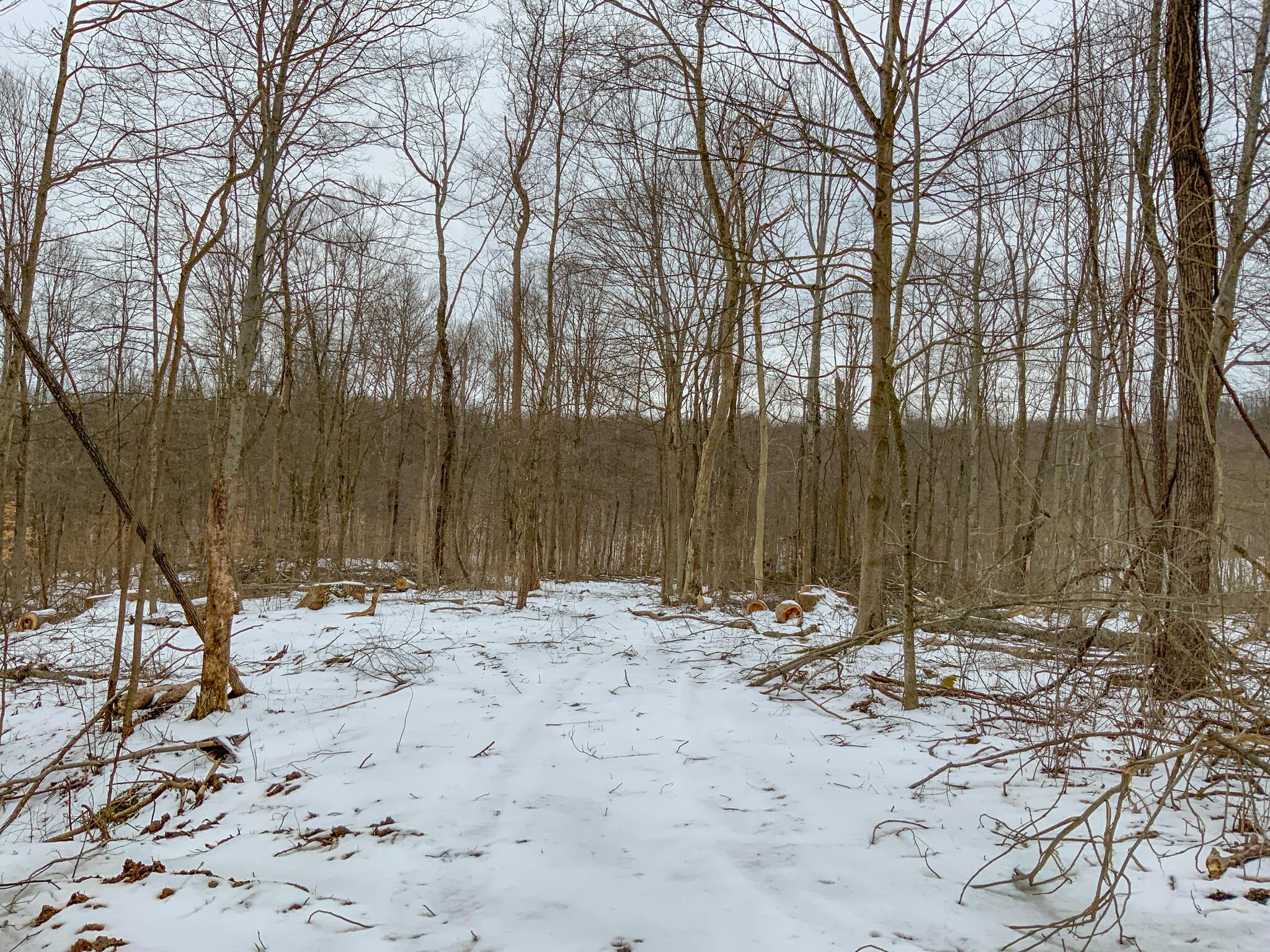 0 Lookout Road Rockbridge, OH 43149 - Photo 15 of 43 IMG_4967