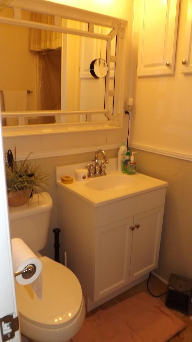 1008 Dreamland Road Spring City, TN 37381 - Photo 14 of 40 half bath