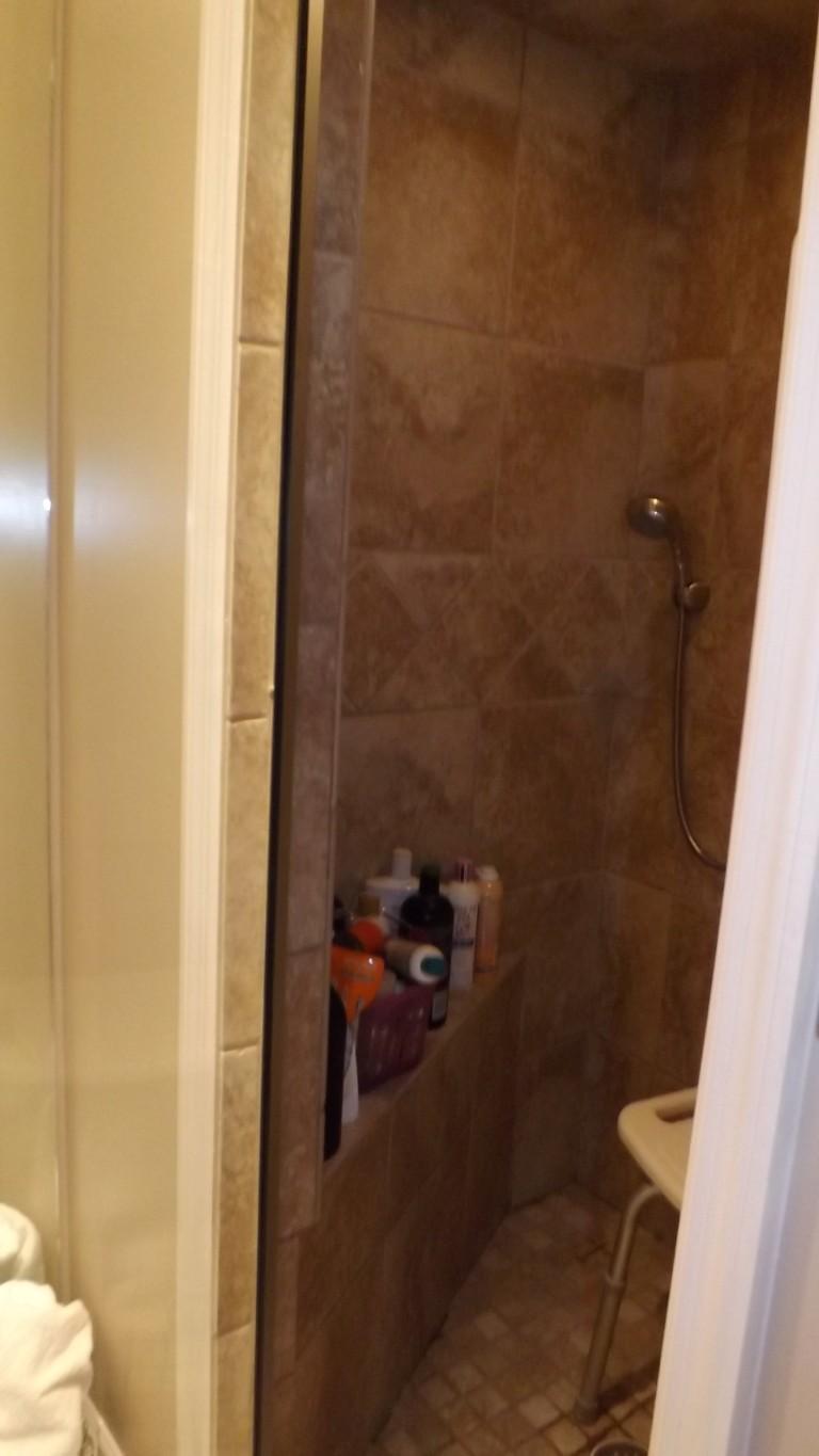 1008 Dreamland Road Spring City, TN 37381 - Photo 29 of 40 shower