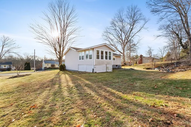 a view of a yard with a large tree