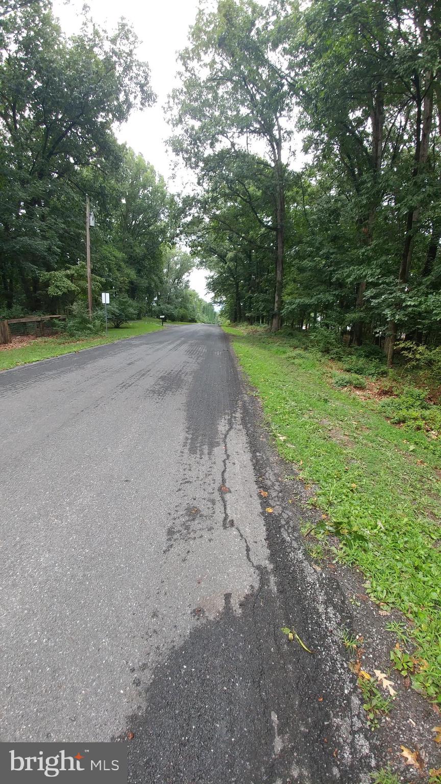 Ridge Road Front Royal, VA 22630 - Photo 3 of 7