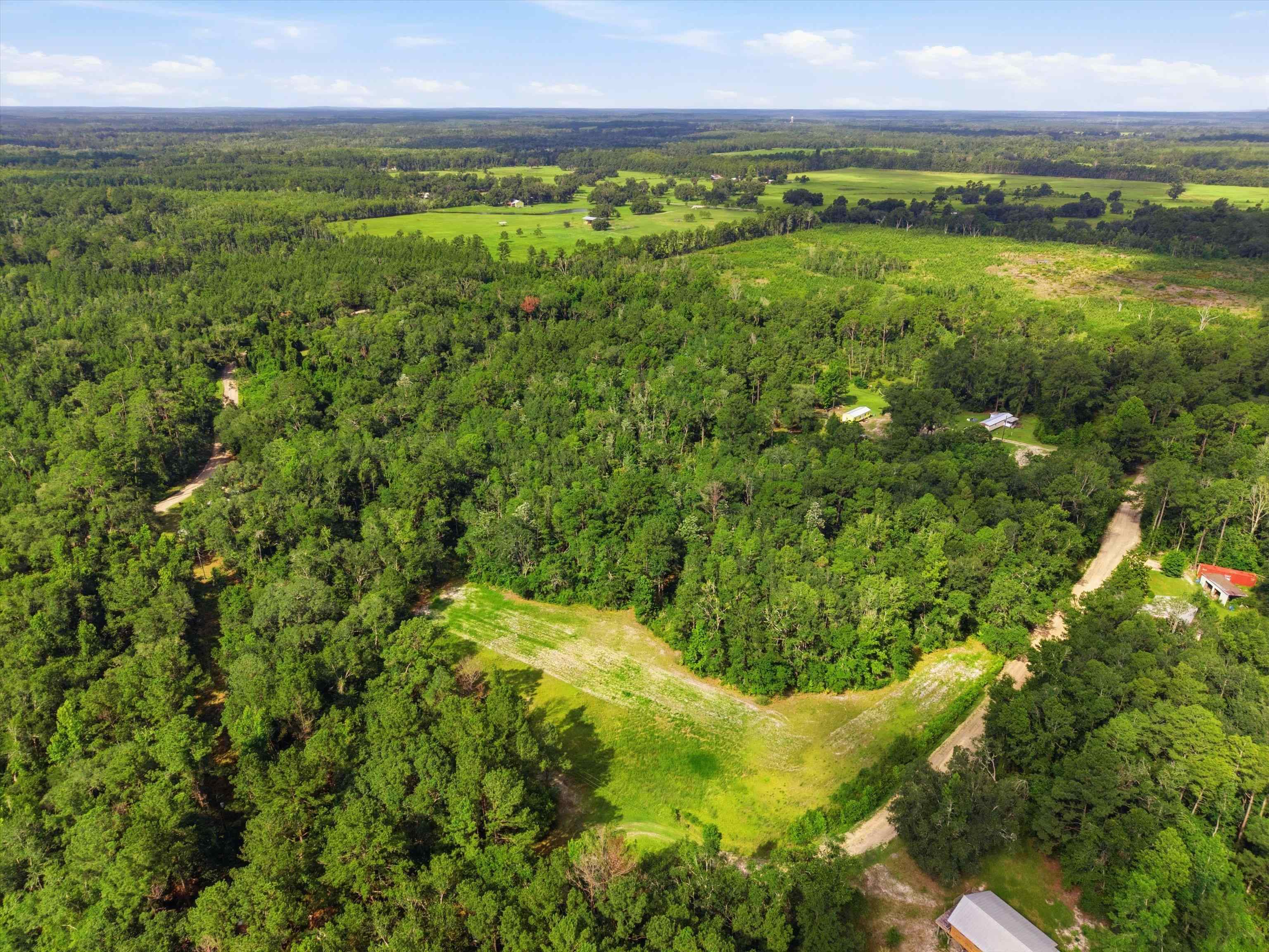 Xxx Neely Road Monticello, FL 32344 - Photo 20 of 37