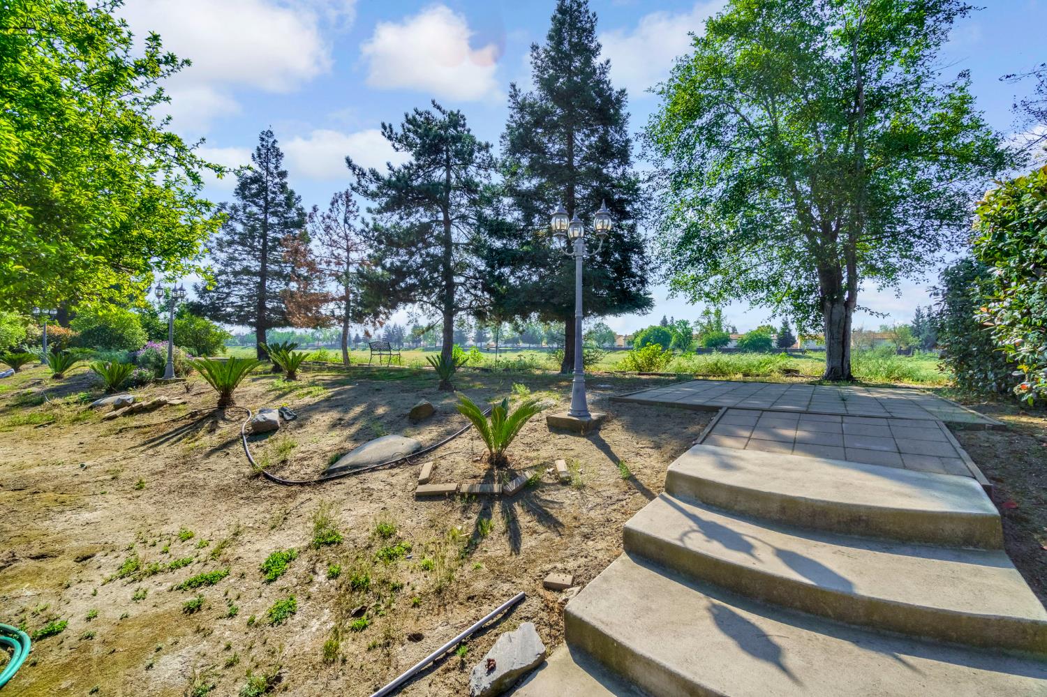2436 Trevor Court Madera, CA 93637 - Photo 48 of 57 a view of yard with tree