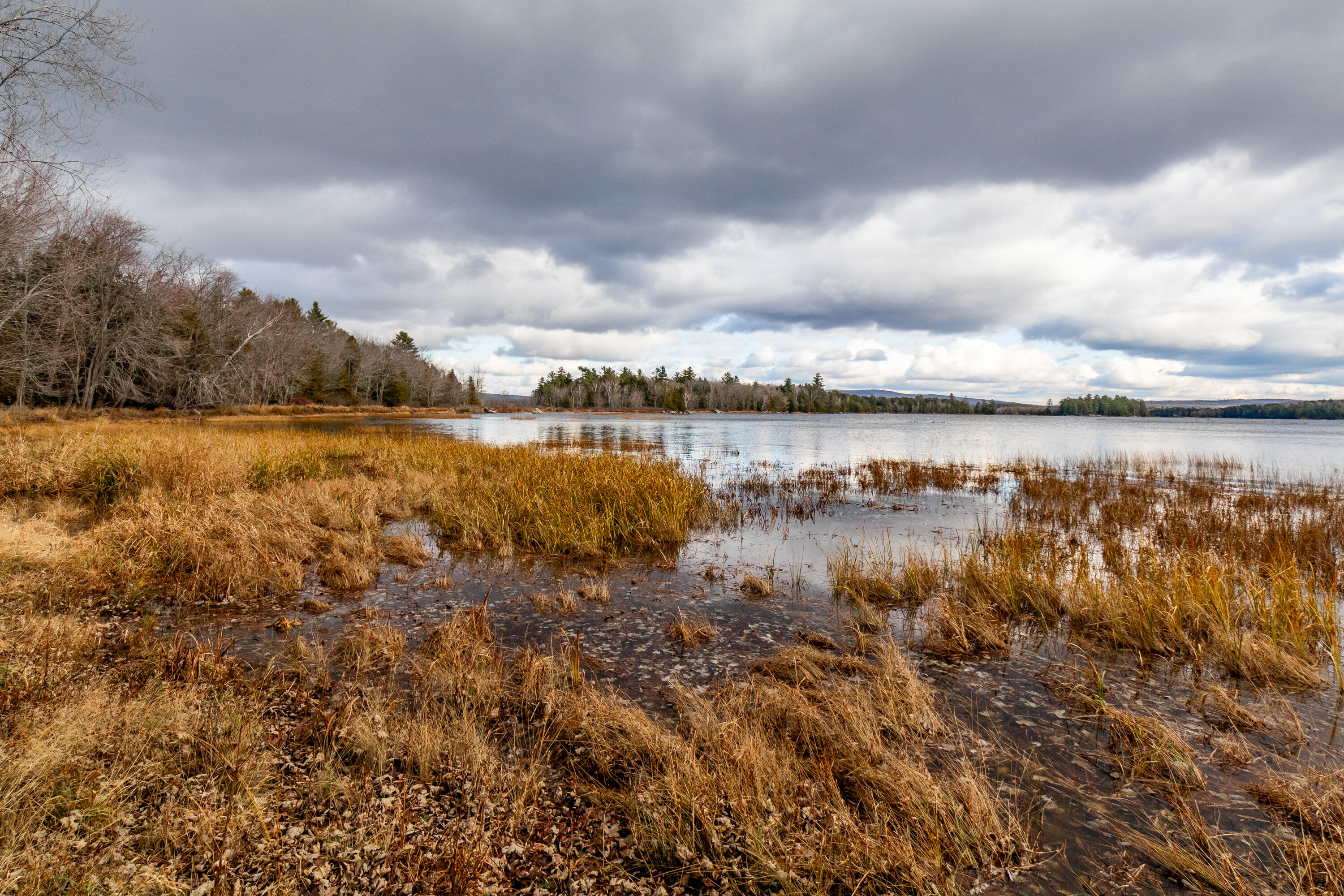 41 South Merrill Road Harmony, ME 04942 - Photo 80 of 113 20251114-81129