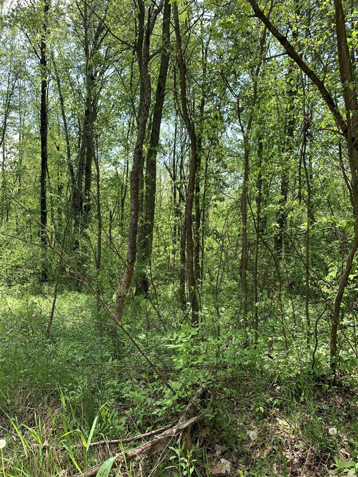 Beyer Road Road Free Soil, MI 49411 - Photo 41 of 46