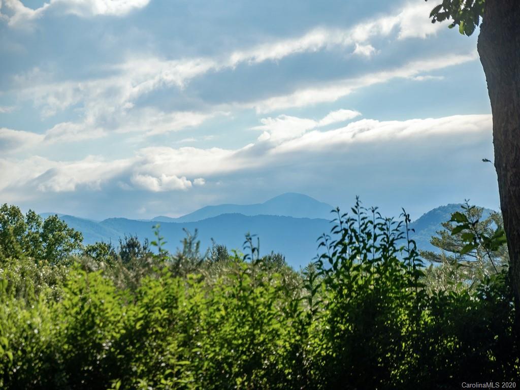 34 Azalea Road, Unit 31 Arden, NC 28704 - Photo 16 of 18 Gallery Image 16